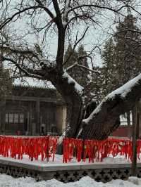 平遙之精華——盡在雙林寺（一）