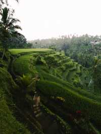 如果不是來到印尼，我都不知道這是地球景觀