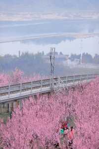 重慶·開往春天的纜車