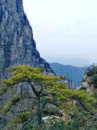 庐山西麓