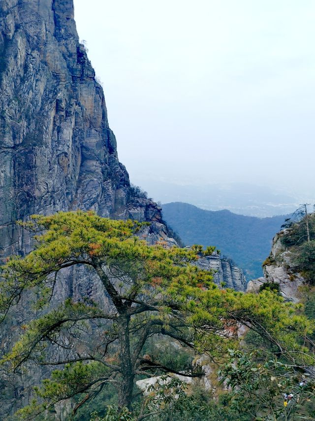 庐山西麓