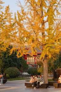 Strolling through history, experiencing the charm of Tang Dynasty architecture in Xi'an | Big Wild Goose Pagoda