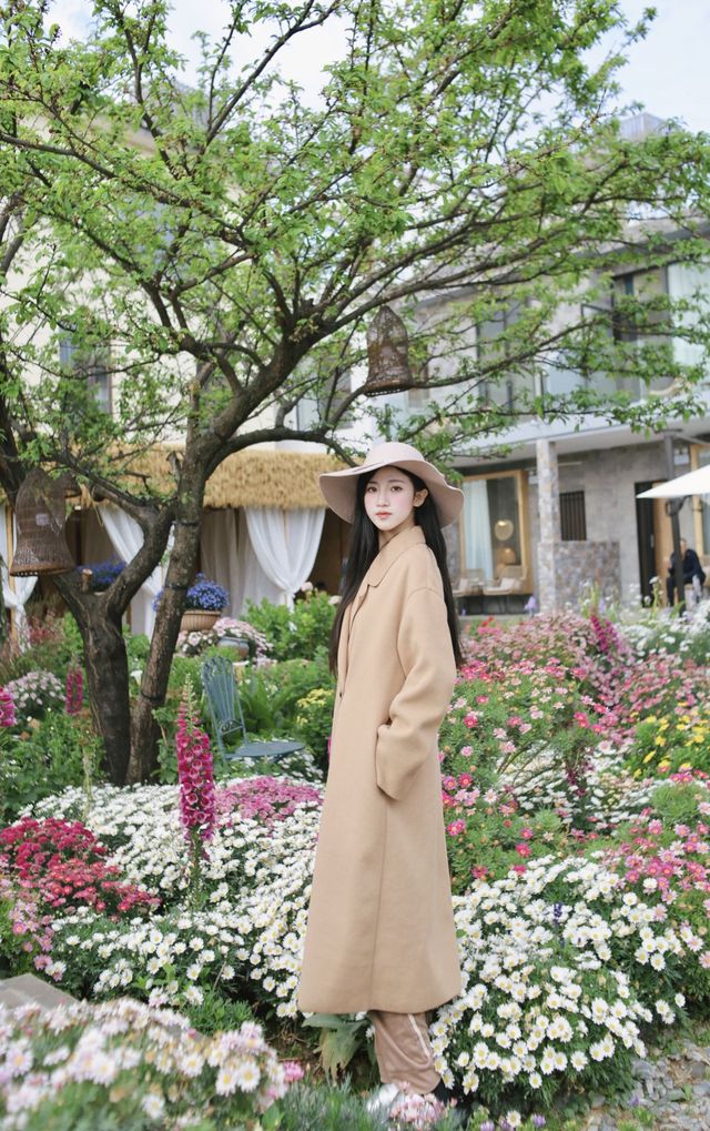 屬於大理洱海的莫奈花園……