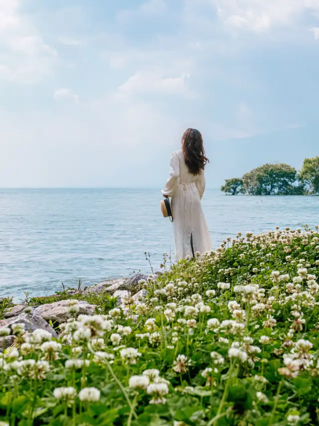 Follow this route to ensure you capture a lifetime photo in Dali