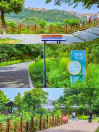別擠東湖了！武漢這條小眾徒步路線太治癒了