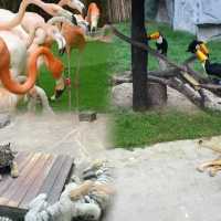 上海野生動物園超實用攻略