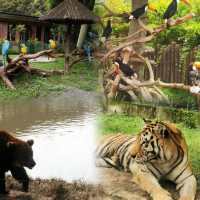 上海野生動物園超實用攻略