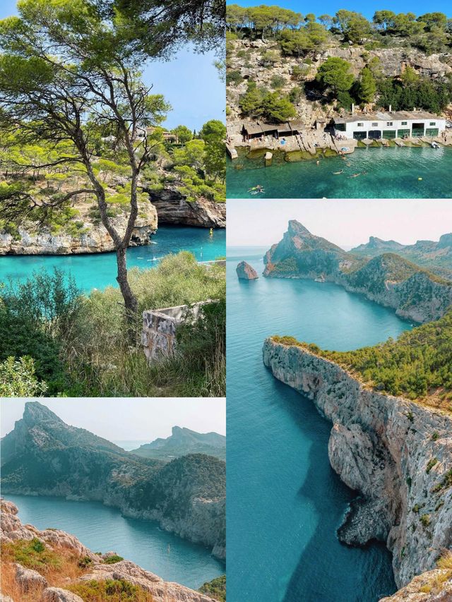 馬略卡島果凍海