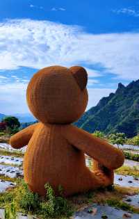 中國最美鄉村｜海拔900多米稠嶺村