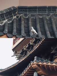 博鳌禪寺