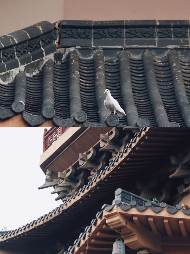 博鳌禪寺
