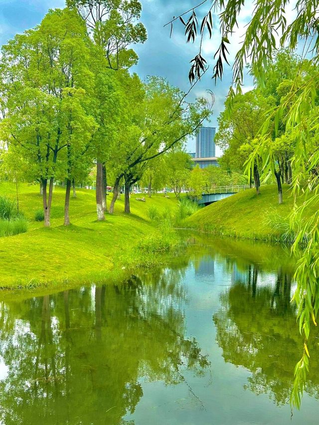 在成都！！！我唯一想去無數次的公園！！