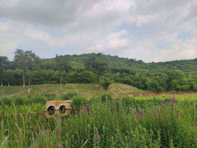 枕水涧度假村