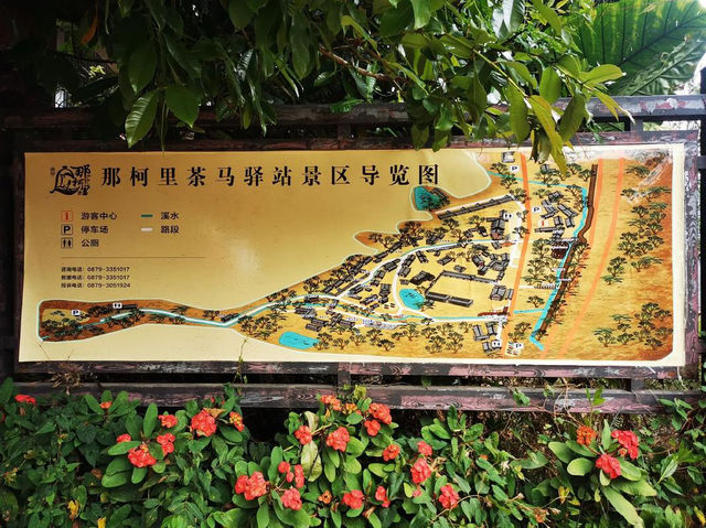 普洱那柯里 普洱那柯里