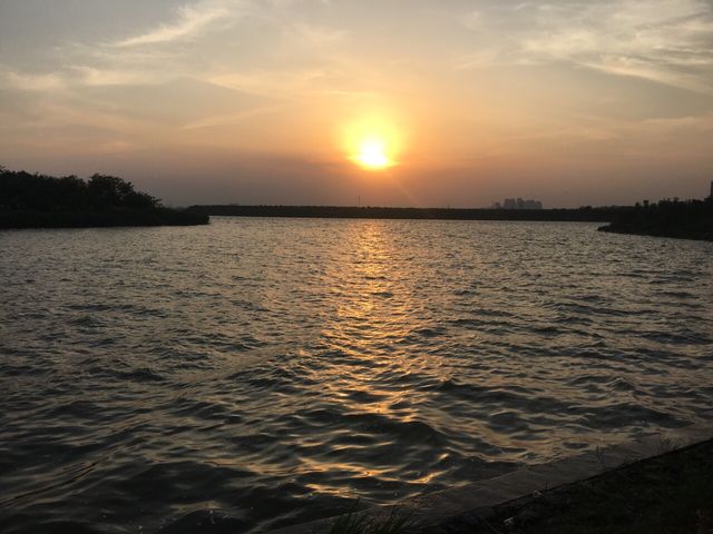 東麗湖生態美景醉遊人