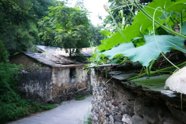 北京｜這個夏天，用要去「水峪村」避個暑吧
