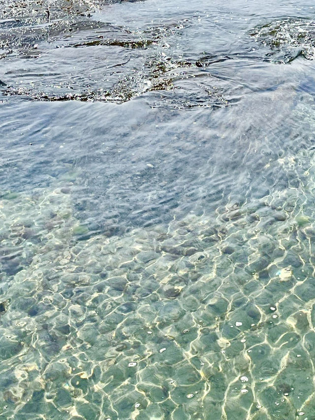 絕美海岸我來了