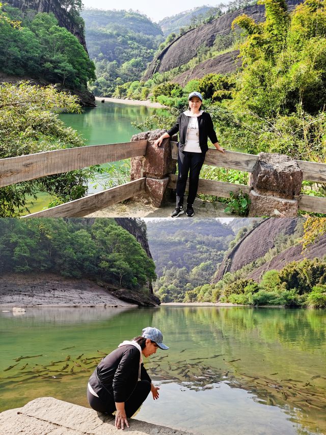岩石清澈，樹木翠綠，茶香四溢，武夷山國家公園的真實體驗