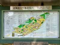 漫步北海道大學