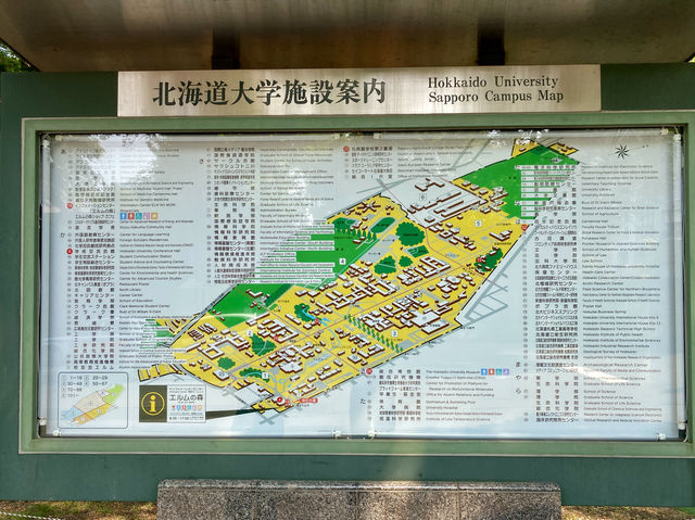 漫步北海道大學
