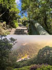 鐵直達深圳梧桐山！去爬山看這篇就夠啦|||