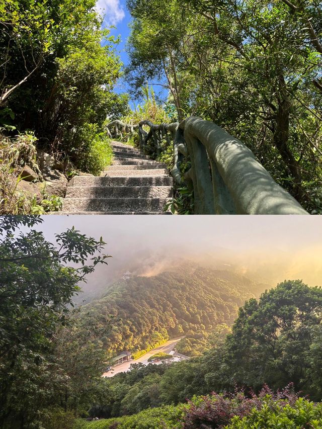 鐵直達深圳梧桐山！去爬山看這篇就夠啦|||