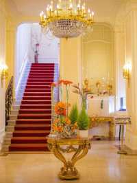 🌟 Karlovy Vary's Hidden Gem: Savoy Westend 🌟