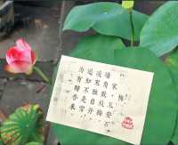 走進華巖寺，尋得心靈的寧靜
