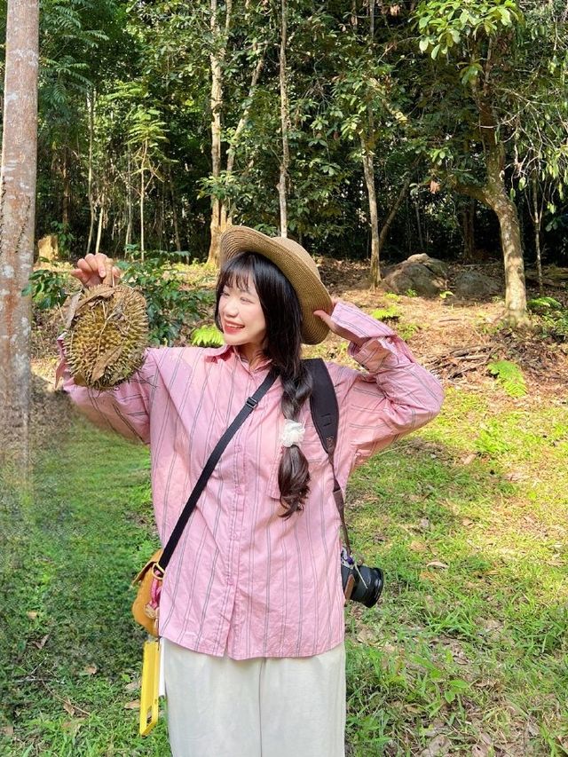 馬來西亞的榴蓮