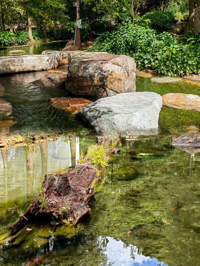 冷泉灘丨玩水好去處，平均溫度21度