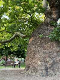 Canterbury is a small town in UK 🇬🇧 check out the nature 🩷