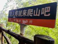 想你的風還是吹到了馬嶺河峽谷