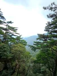 明堂山主峰海拔1563米，位於長江和淮河兩大流域的分水嶺。景區內提供的特色項目有「步步驚心」高空體驗。