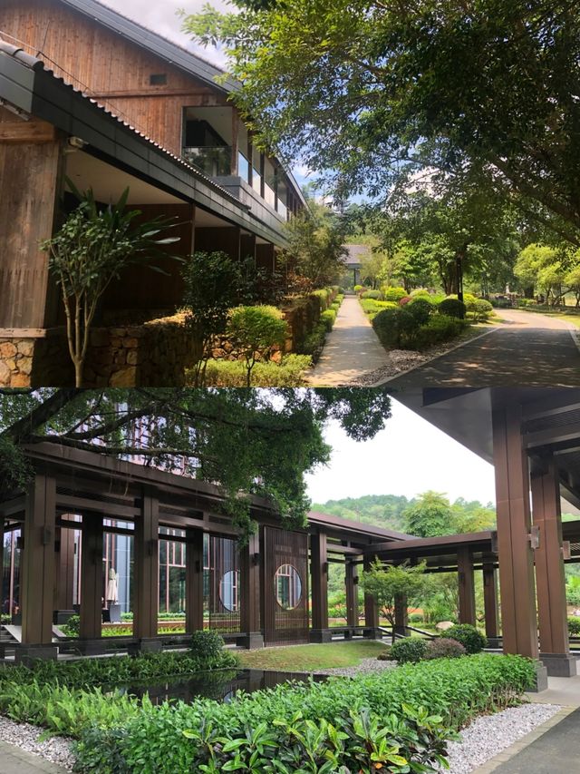 打卡蟠龍谷文化酒店。