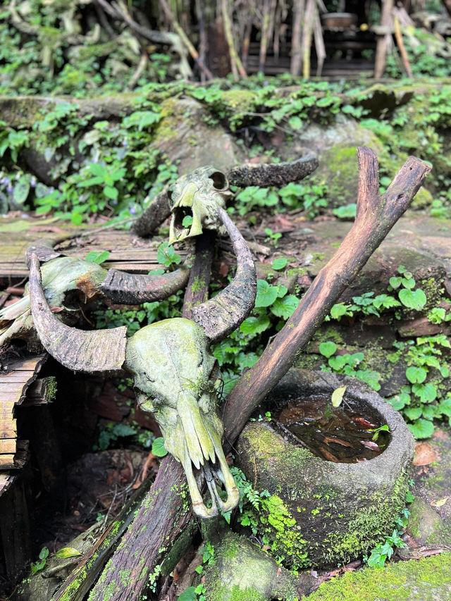 雲南秘境|西盟·龍魔爺聖地