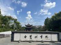 白鷺洲書香濃郁。