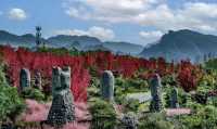 酉陽疊石山谷，優美風景打卡地。