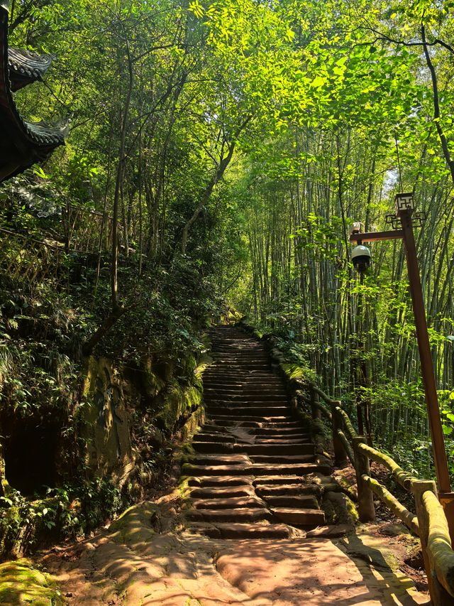 眉山中岩寺。