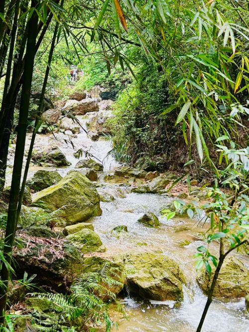 南海灣森林公園遊玩攻略。