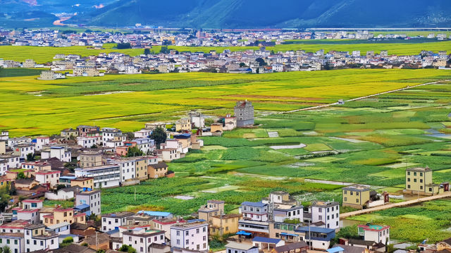 國慶賞秋真正冷門地，大理自駕2.5小時可到。
