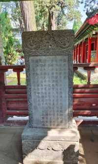千年孟府孟廟，儒風雅韻：走進孟廟孟府，探尋亞聖孟子的思想殿堂。