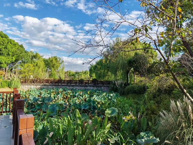 華夏公園。