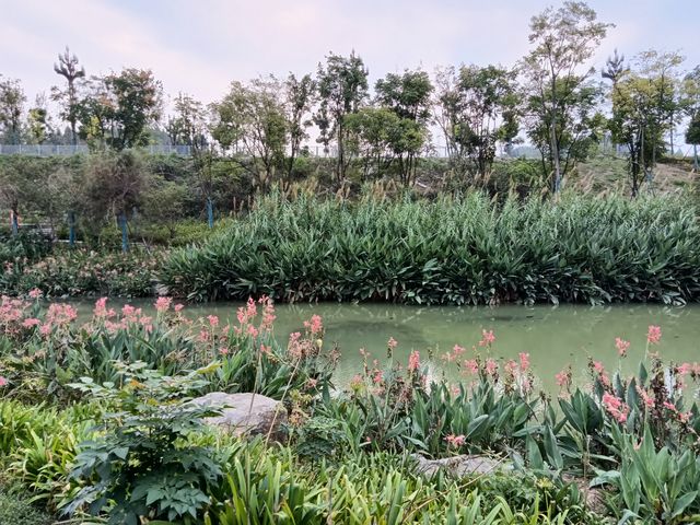 水西會客廳。