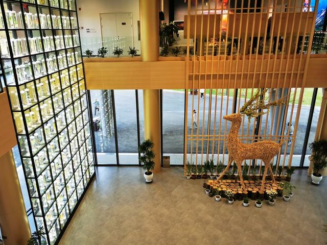 中國關藥博物館。 中國關藥博物館。