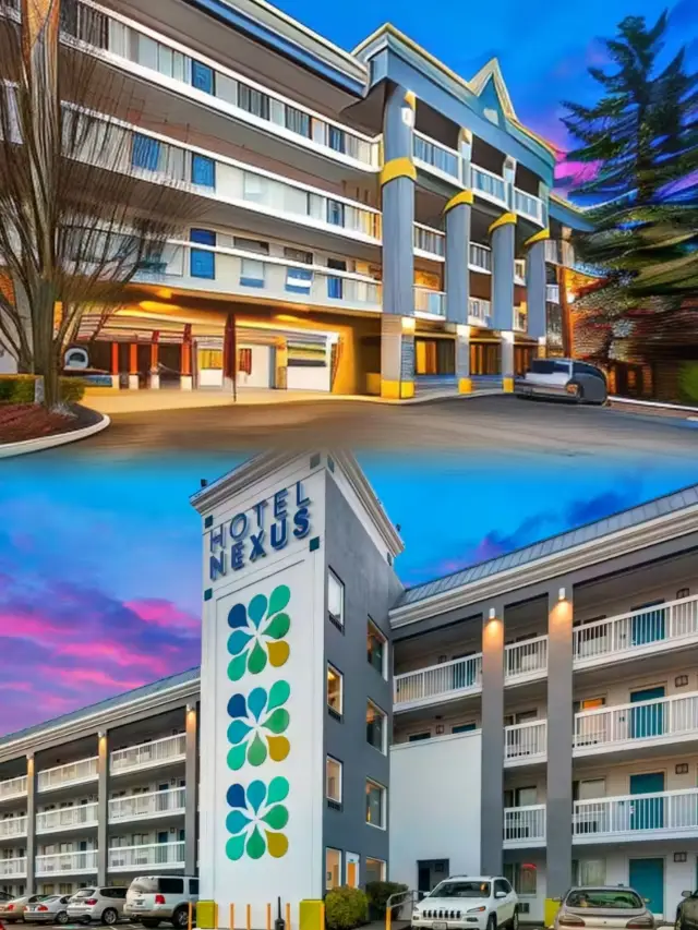 Nexa Hotel, the perfect choice for your trip! 