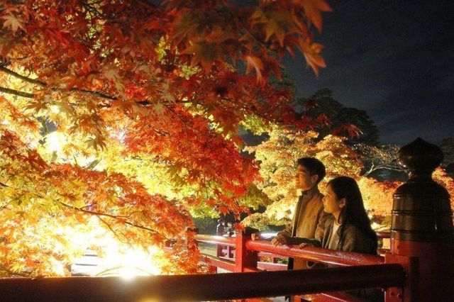 日本新潟彌彦公園：秋日紅葉的夢幻詩篇||日本新潟的彌彦公園，以其秋季的紅葉谷而聞名，當秋風輕拂過。