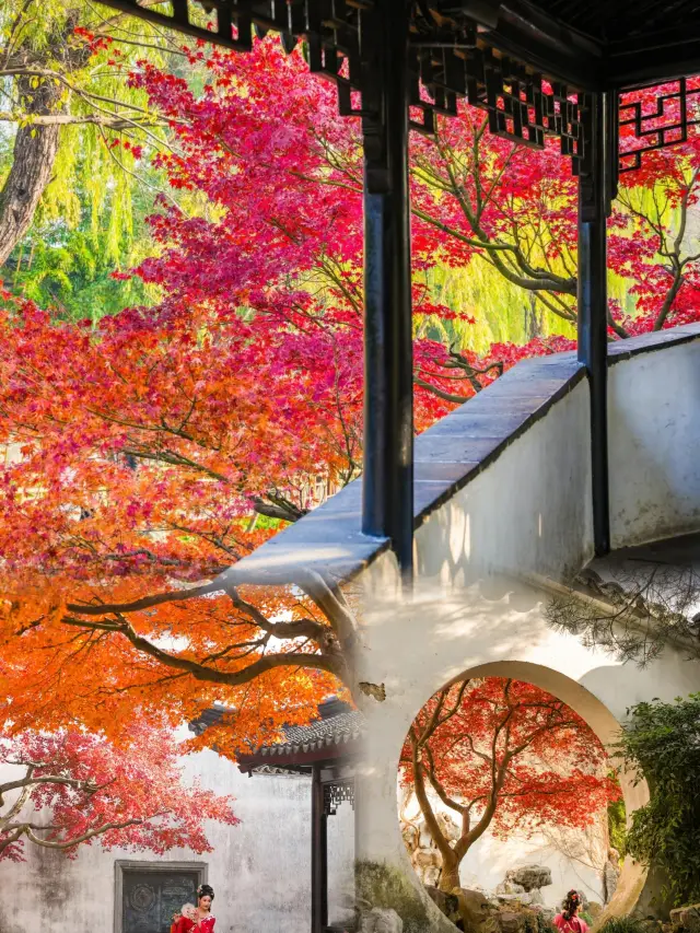 다음으로 소개할 쑤저우는 가을 여행의 최고봉이라 할 수 있습니다.