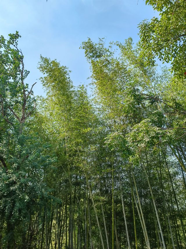 一院一私湯赤壁龍佑私湯別墅。