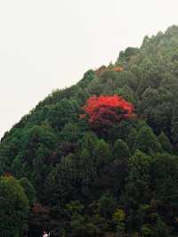 北京金海湖 | 一半山川一半湖海，快去美瘋了！。