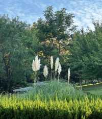 西安免費寶藏公園｜世博園。